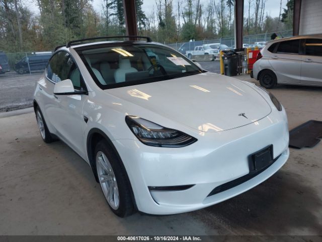 Photo 0 VIN: 5YJYGDEE3MF104161 - TESLA MODEL Y 