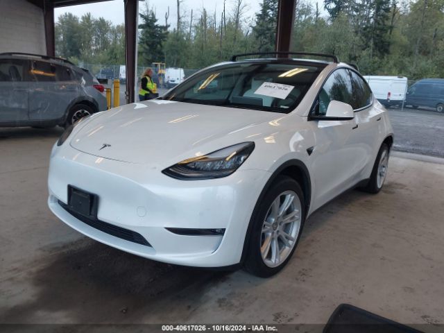 Photo 1 VIN: 5YJYGDEE3MF104161 - TESLA MODEL Y 