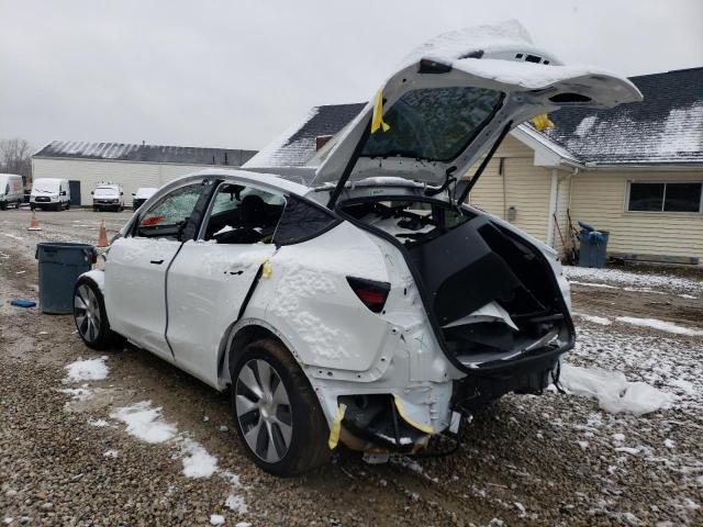 Photo 1 VIN: 5YJYGDEE3MF106279 - TESLA MODEL Y 