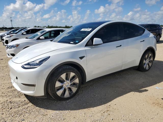 Photo 0 VIN: 5YJYGDEE3MF109831 - TESLA MODEL Y 