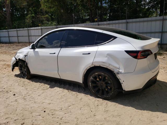 Photo 1 VIN: 5YJYGDEE3MF119727 - TESLA MODEL Y 