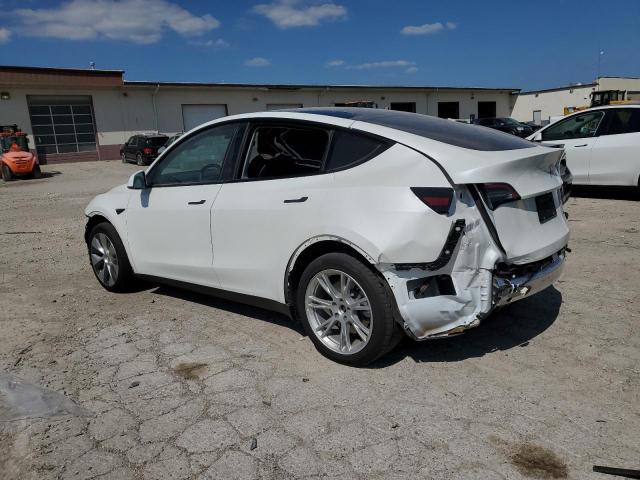 Photo 1 VIN: 5YJYGDEE3MF145275 - TESLA MODEL Y 