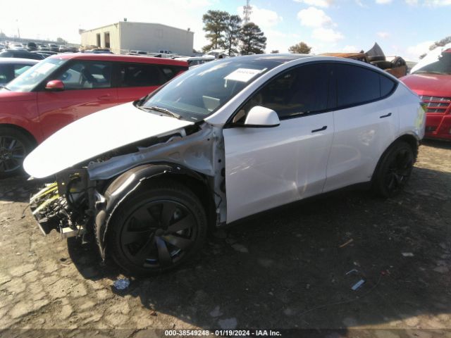 Photo 1 VIN: 5YJYGDEE3MF149617 - TESLA MODEL Y 