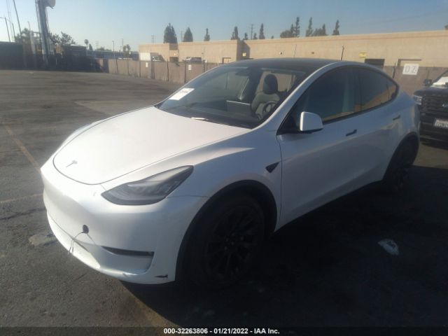 Photo 1 VIN: 5YJYGDEE3MF153182 - TESLA MODEL Y 