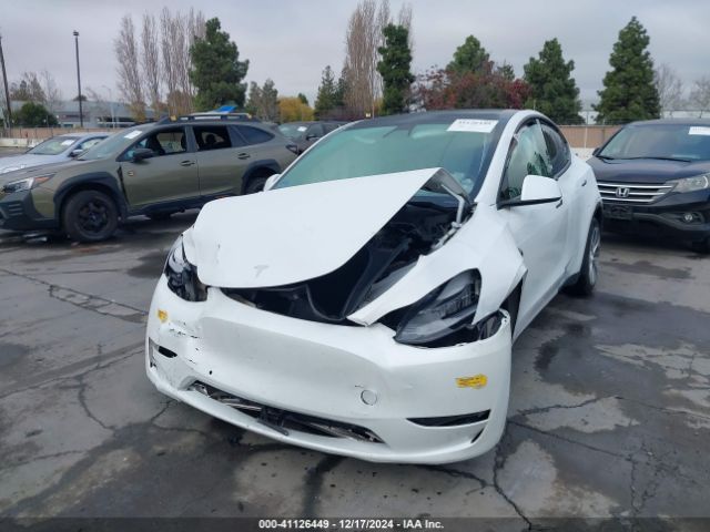 Photo 1 VIN: 5YJYGDEE3MF160925 - TESLA MODEL Y 