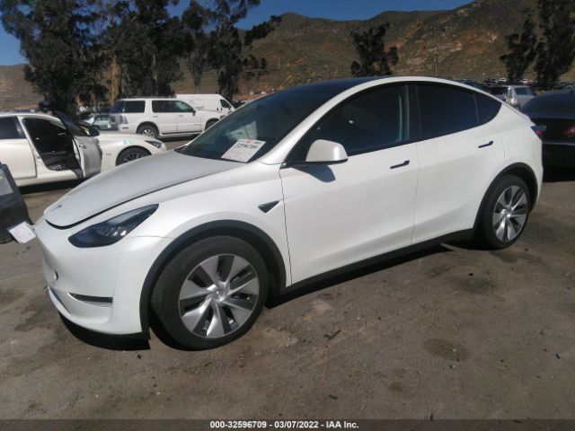 Photo 1 VIN: 5YJYGDEE3MF233131 - TESLA MODEL Y 