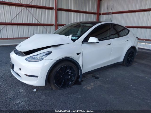 Photo 1 VIN: 5YJYGDEE3MF255520 - TESLA MODEL Y 