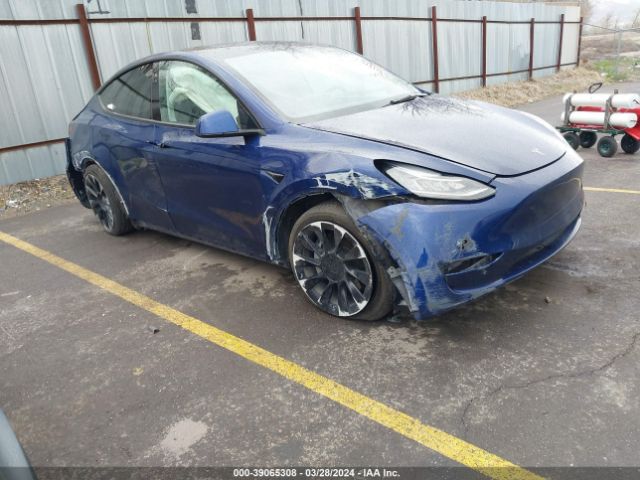 Photo 0 VIN: 5YJYGDEE3MF255971 - TESLA MODEL Y 