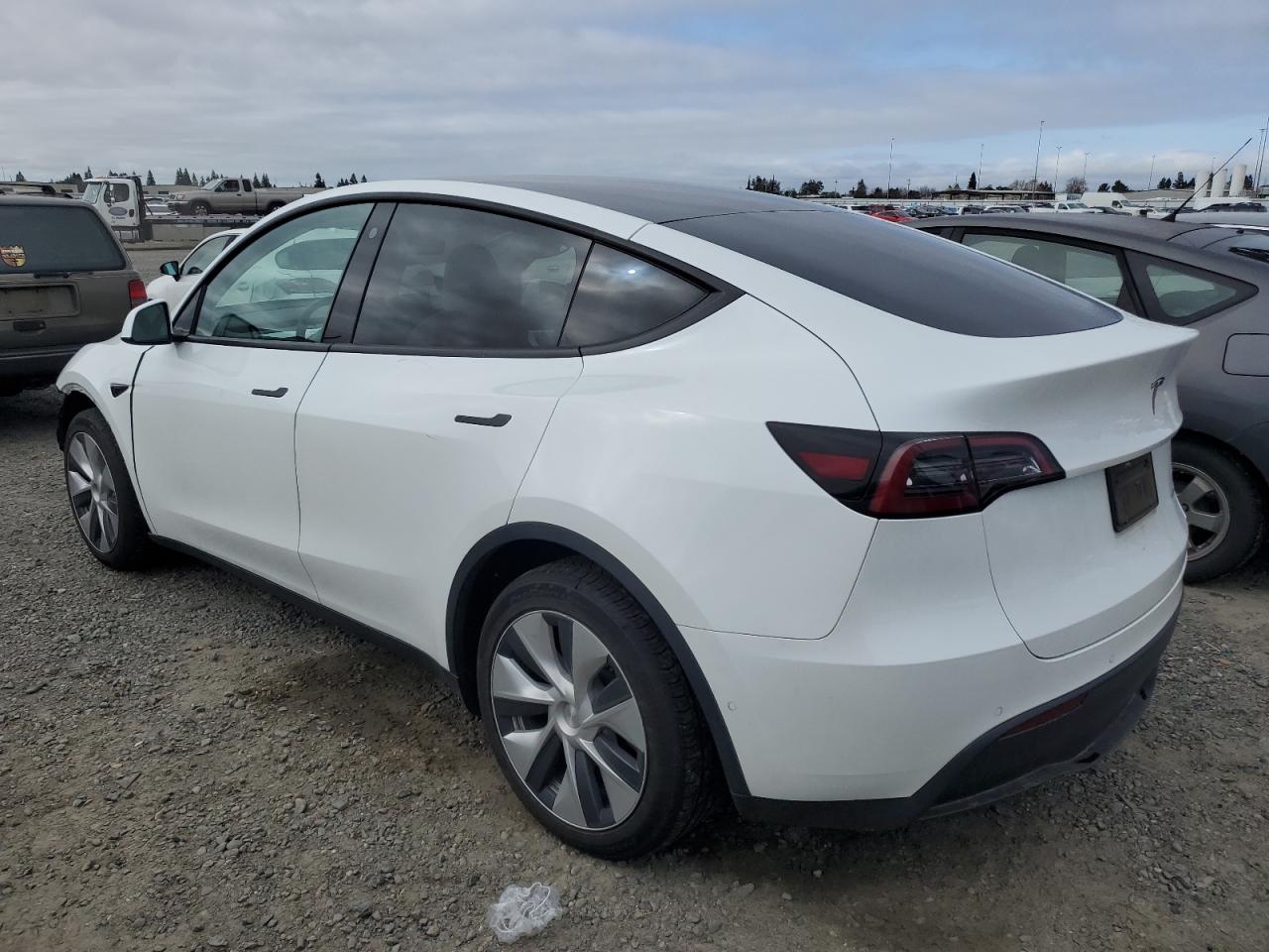 Photo 1 VIN: 5YJYGDEE3MF276075 - TESLA MODEL Y 