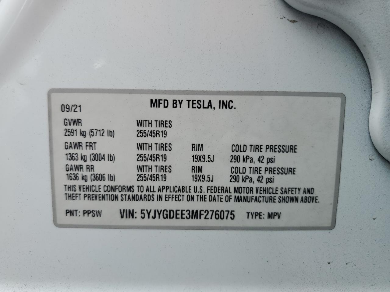 Photo 12 VIN: 5YJYGDEE3MF276075 - TESLA MODEL Y 