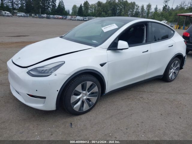 Photo 1 VIN: 5YJYGDEE4LF016749 - TESLA MODEL Y 