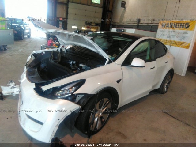 Photo 1 VIN: 5YJYGDEE4LF025905 - TESLA MODEL Y 