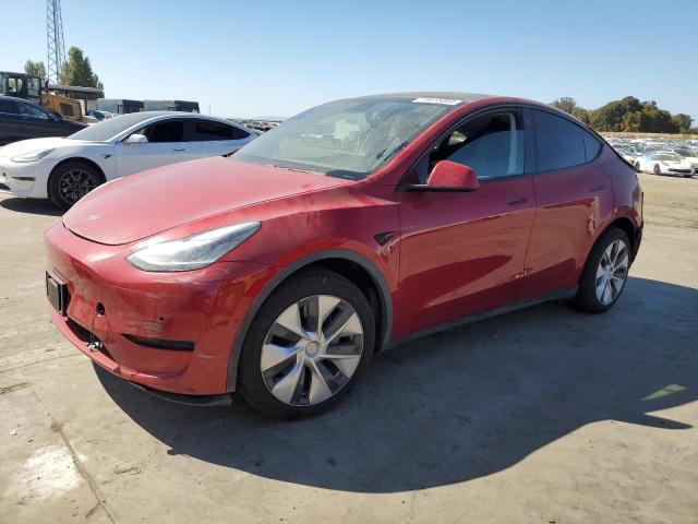 Photo 0 VIN: 5YJYGDEE4LF031669 - TESLA MODEL Y 