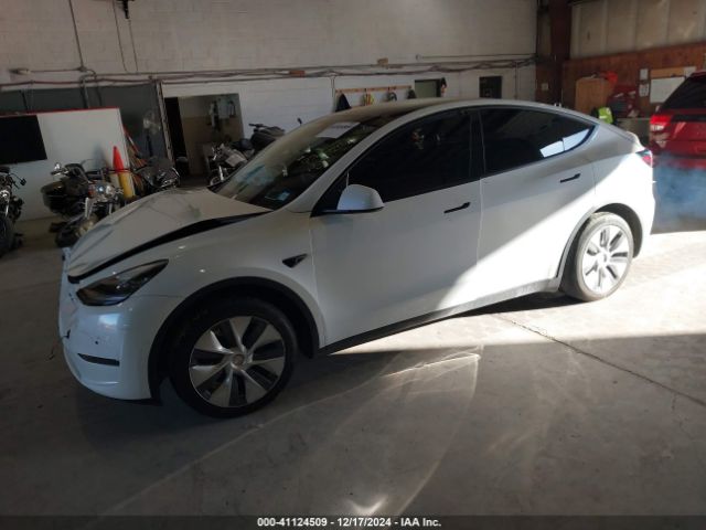 Photo 1 VIN: 5YJYGDEE4LF035284 - TESLA MODEL Y 