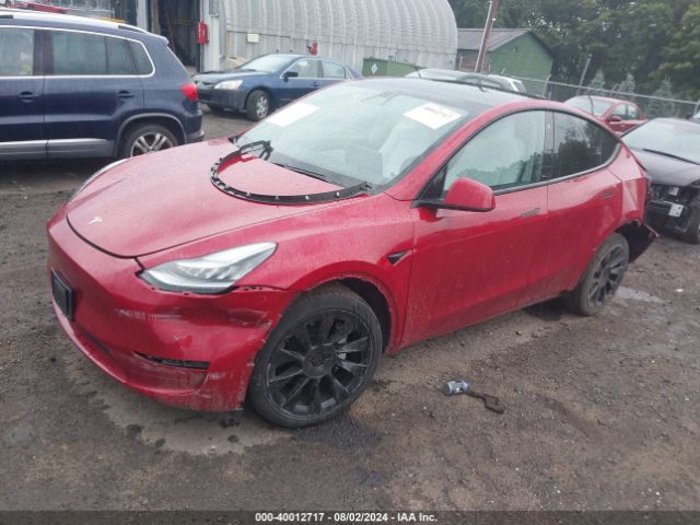 Photo 1 VIN: 5YJYGDEE4LF040419 - TESLA MODEL Y 