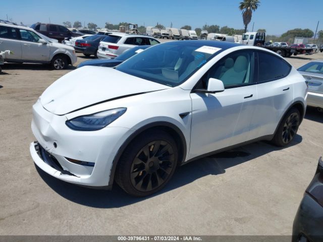 Photo 1 VIN: 5YJYGDEE4LF058564 - TESLA MODEL Y 