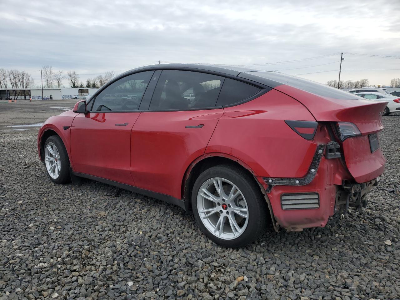 Photo 1 VIN: 5YJYGDEE4LF060038 - TESLA MODEL Y 