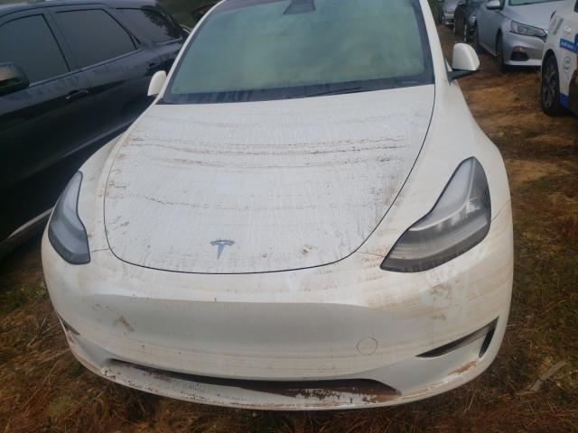 Photo 6 VIN: 5YJYGDEE4MF064477 - TESLA MODEL Y 