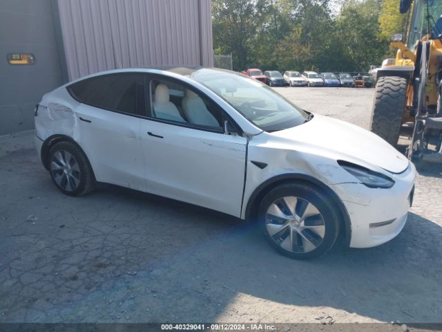 Photo 0 VIN: 5YJYGDEE4MF069176 - TESLA MODEL Y 