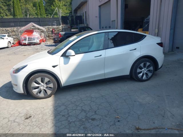 Photo 1 VIN: 5YJYGDEE4MF069176 - TESLA MODEL Y 