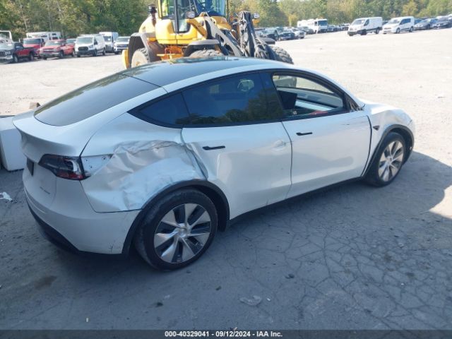 Photo 3 VIN: 5YJYGDEE4MF069176 - TESLA MODEL Y 