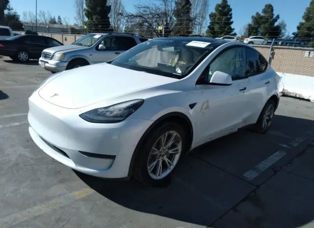 Photo 1 VIN: 5YJYGDEE4MF090898 - TESLA MODEL Y 