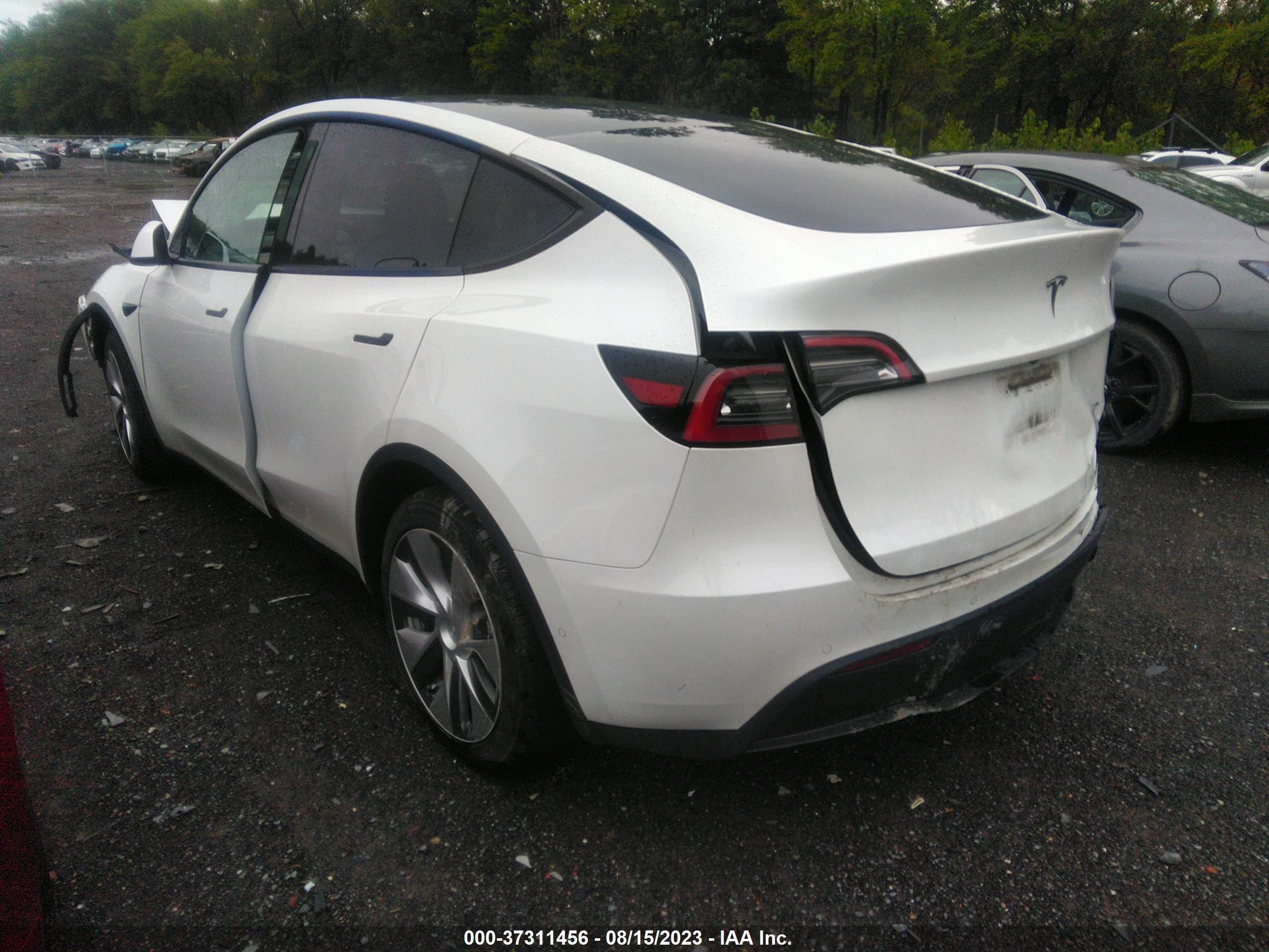 Photo 2 VIN: 5YJYGDEE4MF141980 - TESLA MODEL Y 