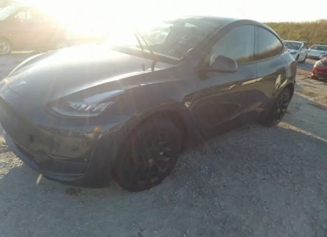 Photo 1 VIN: 5YJYGDEE4MF143745 - TESLA MODEL Y 