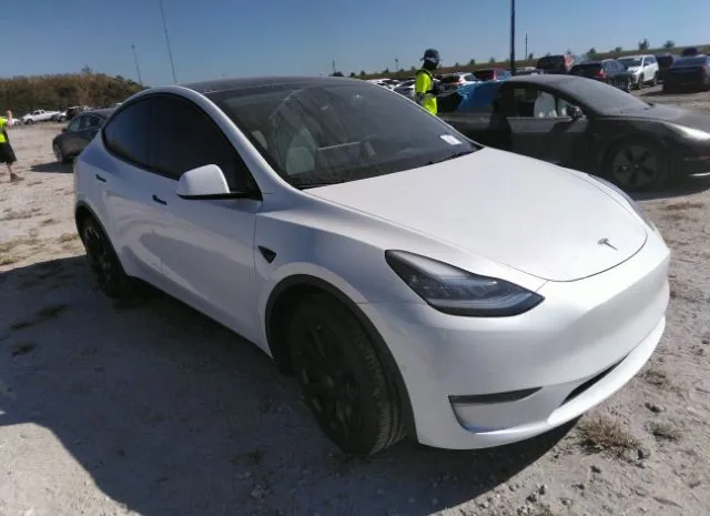 Photo 0 VIN: 5YJYGDEE4MF183694 - TESLA MODEL Y 