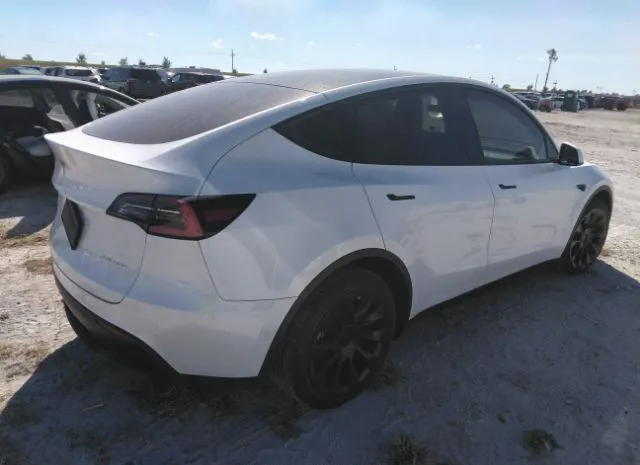 Photo 3 VIN: 5YJYGDEE4MF183694 - TESLA MODEL Y 