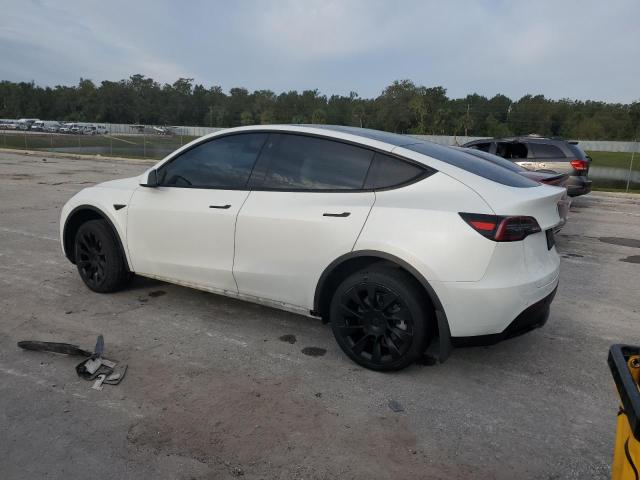 Photo 1 VIN: 5YJYGDEE4MF195473 - TESLA MODEL Y 