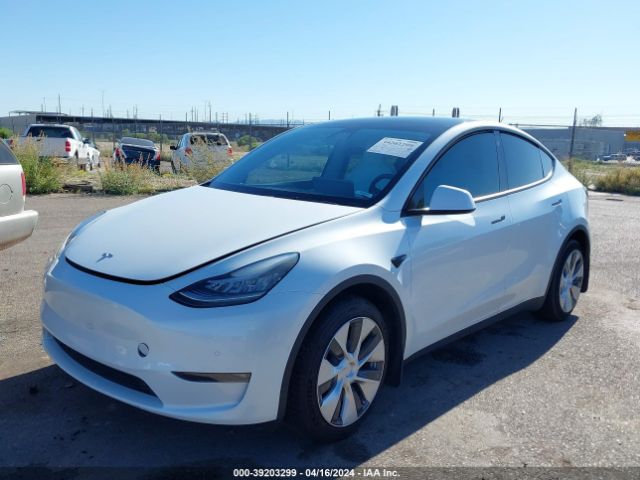 Photo 1 VIN: 5YJYGDEE4MF268261 - TESLA MODEL Y 