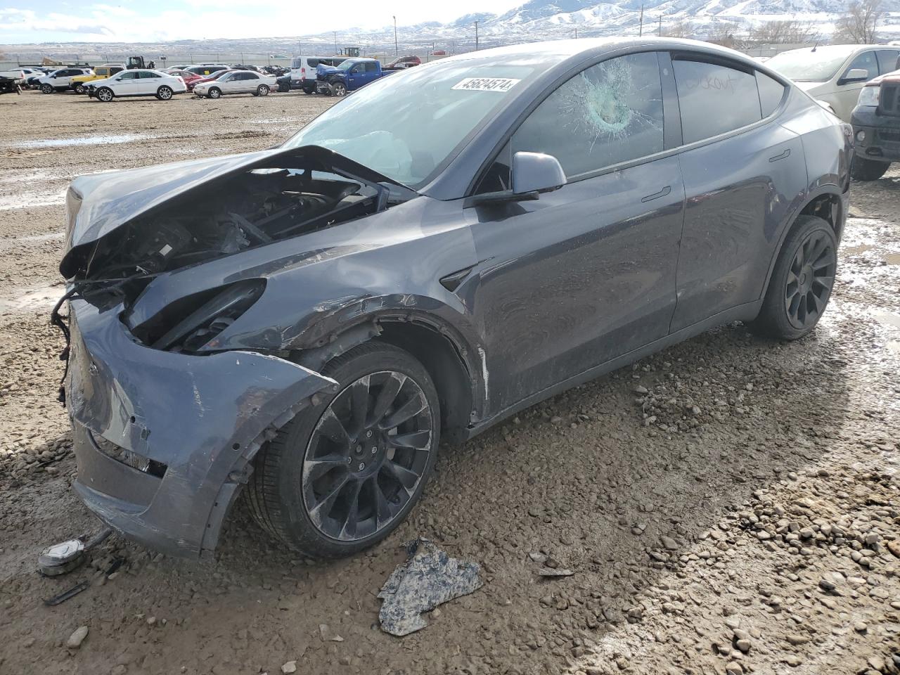 Photo 0 VIN: 5YJYGDEE4MF282581 - TESLA MODEL Y 