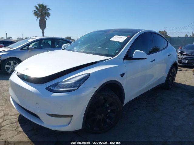 Photo 1 VIN: 5YJYGDEE4MF299333 - TESLA MODEL Y 