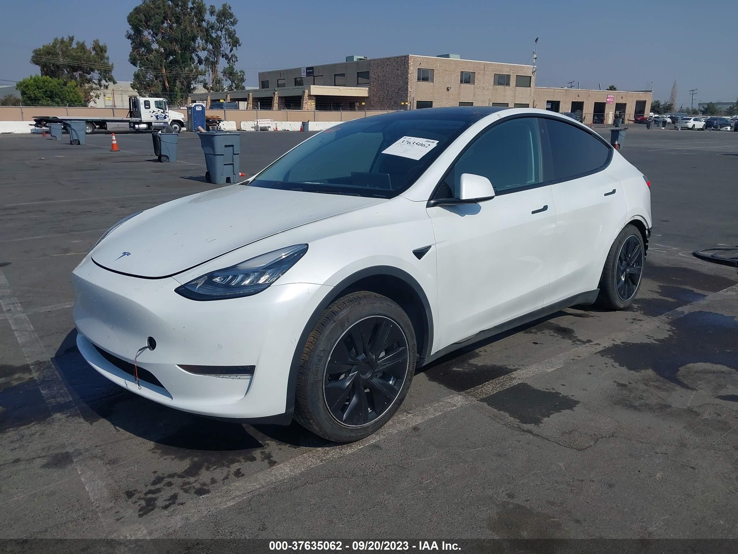 Photo 1 VIN: 5YJYGDEE5LF015402 - TESLA MODEL Y 