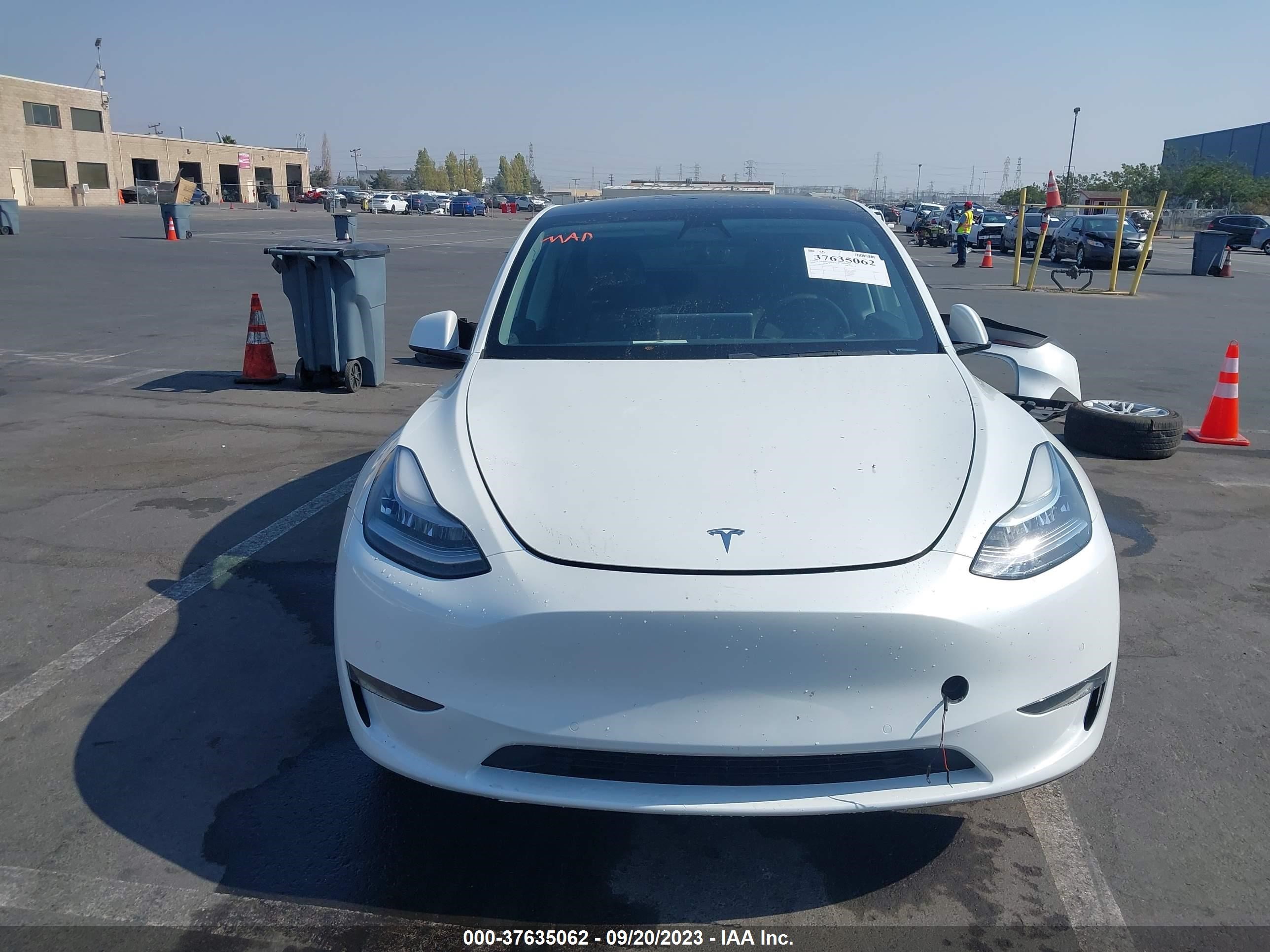 Photo 10 VIN: 5YJYGDEE5LF015402 - TESLA MODEL Y 