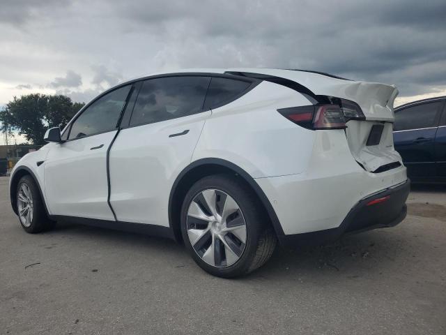 Photo 1 VIN: 5YJYGDEE5LF027534 - TESLA MODEL Y 