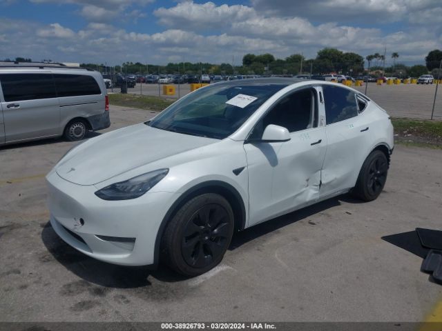 Photo 1 VIN: 5YJYGDEE5LF039781 - TESLA MODEL Y 