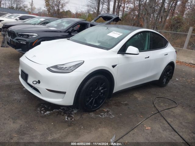 Photo 1 VIN: 5YJYGDEE5LF045726 - TESLA MODEL Y 