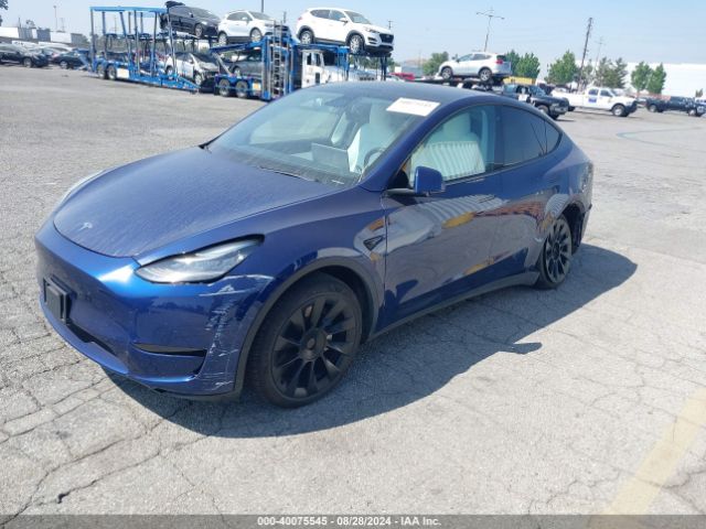 Photo 1 VIN: 5YJYGDEE5LF049369 - TESLA MODEL Y 