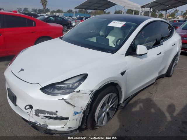 Photo 1 VIN: 5YJYGDEE5LF053289 - TESLA MODEL Y 