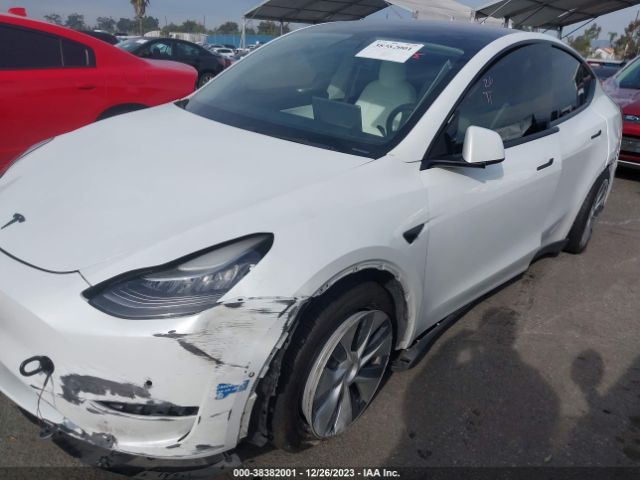 Photo 5 VIN: 5YJYGDEE5LF053289 - TESLA MODEL Y 