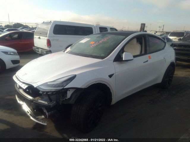 Photo 1 VIN: 5YJYGDEE5LF056175 - TESLA MODEL Y 