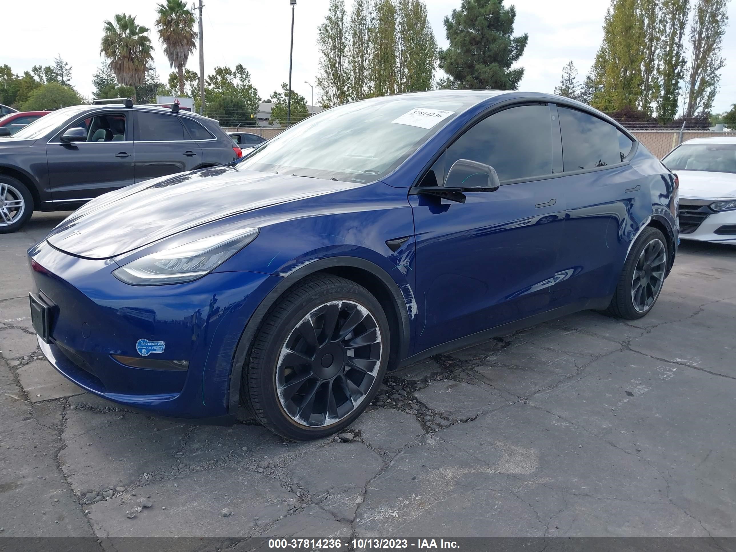 Photo 1 VIN: 5YJYGDEE5LF059786 - TESLA MODEL Y 