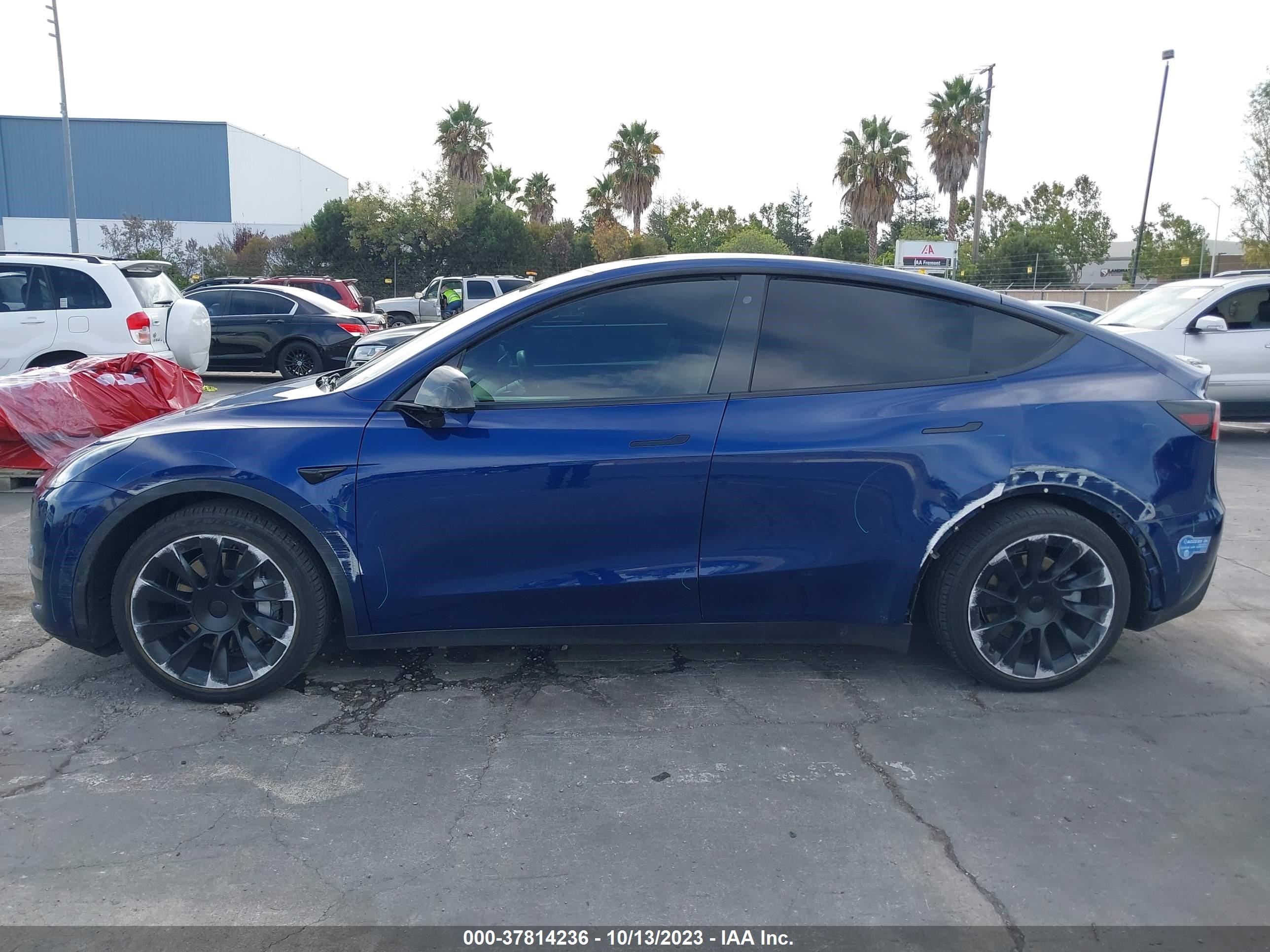 Photo 12 VIN: 5YJYGDEE5LF059786 - TESLA MODEL Y 