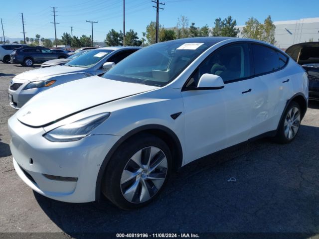 Photo 1 VIN: 5YJYGDEE5MF072572 - TESLA MODEL Y 