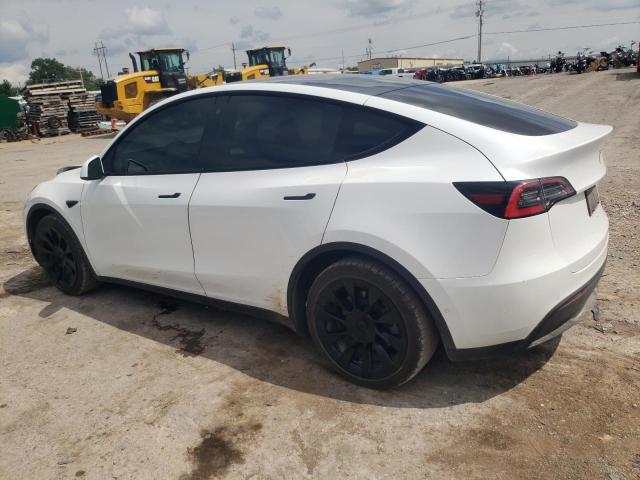 Photo 1 VIN: 5YJYGDEE5MF111550 - TESLA MODEL Y 