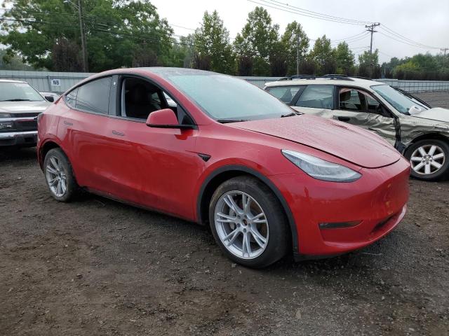 Photo 3 VIN: 5YJYGDEE5MF113069 - TESLA MODEL Y 