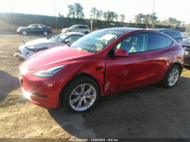 Photo 1 VIN: 5YJYGDEE5MF118532 - TESLA MODEL Y 