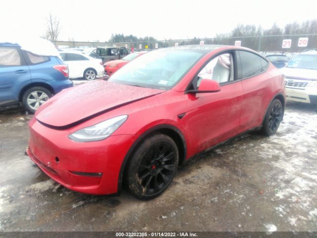 Photo 1 VIN: 5YJYGDEE5MF179301 - TESLA MODEL Y 